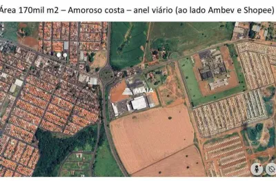 Terreno para alugar no Amoroso Costa, Uberaba 