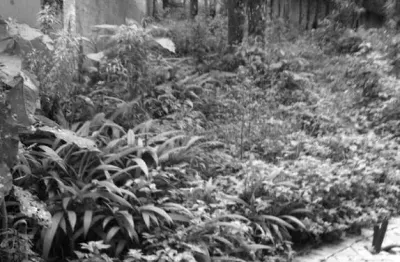 Terreno à venda na Rua Alípio Teixeira de Moraes, 179, Barreirinha, Curitiba