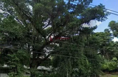 Casa 6 dormitórios à venda vila assunção porto alegre/rs
