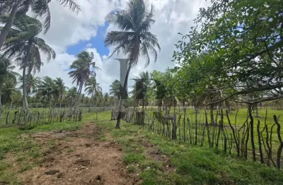 Área com 32 hectares, estrada pium nísia floresta - rn                        oportunidade única para investidores!