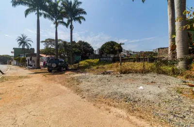Terreno comercial para alugar na Rua Cembira, 992, Vila Curuçá, São Paulo