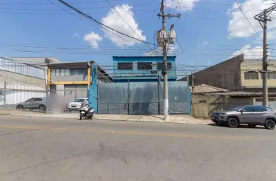 Galpão na avenida doutor luís arrobas martins, n. 305 • 500 m²
