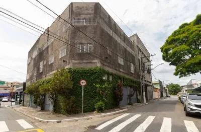 Prédio com 40 salas para alugar na Rua Pádua Dutra, 130, Parque São Luís, São Paulo
