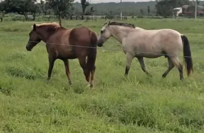Fazenda à venda na Rodovia Br 163-364 Mt, Sn, Área Rural de Várzea Grande, Várzea Grande