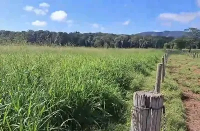 Chácara para venda em santo antônio do leverger, zona rural, 4 dormitórios, 2 banheiros