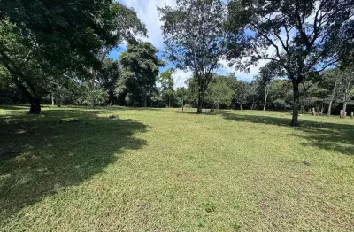 Fazenda à venda na Zona Rural, Rosário Oeste 