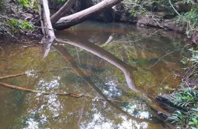 Chácara / sítio à venda na Zona Rural, Poconé 