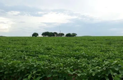 Fazenda à venda na Avenida dos Tarumãs, SN, Zona Rural, Sinop