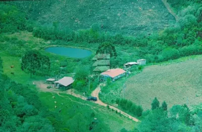 Chácara / sítio à venda na estrada do lambari, zona rural, quitandinha por r$ 399.000