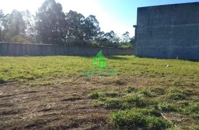 Terreno para locação, 14000m2 a.t. cumbica, guarulhos, sp