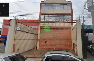 Galpão / barracão para locação, 1131 m2 a.c.  vila maria, são paulo, sp