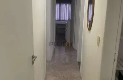 Apartamento para alugar residencial jardim de villandry florianópolis