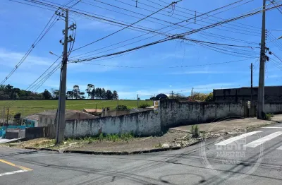 Terreno de esquina à venda - colônia dona luiza - maria otília