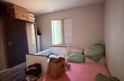 Lindo  apartamento, zona sul, excelente localização, preço imperdível.