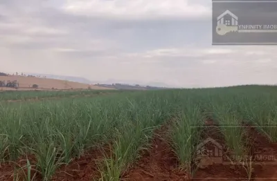 Fazenda à venda no Centro, Patrocínio Paulista 