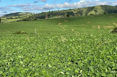 Fazenda a venda em itapira sp para produção com 58 alqueires