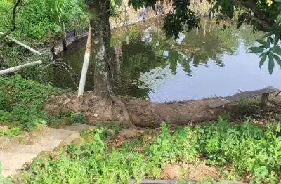 Sítio a venda em jacutinga-mg com café em produção e com vista linda pras montanhas