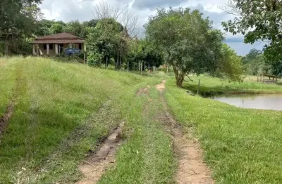 Sítio em jacutinga mg terra pra cultivo com excelente topografia