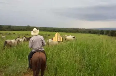 Fazenda à venda na Zona Rural, Augusto de Lima 