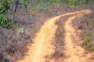 Fazenda bocaiuva mg 1000 hectares região com eucalipto