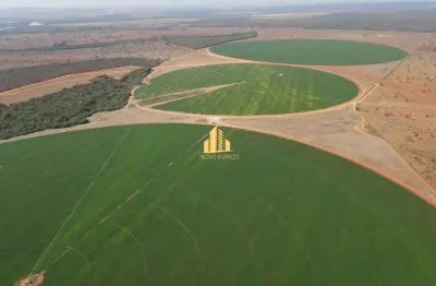 Fazenda ideal para laranja abacate etc.. irrigada em pivôs  região central de minas