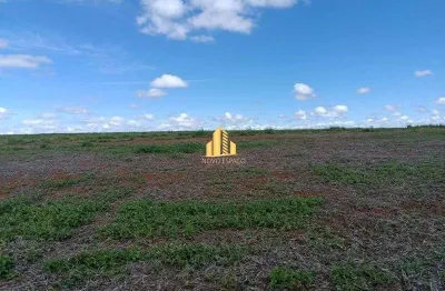 Fazenda  de 85 hectares próxima o pedágio de perdizinha ( br 262 )