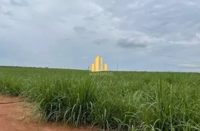 Fazenda à venda na Zona Rural, Rifaina 