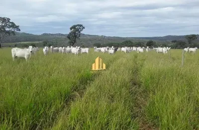 Fazenda à venda na Zona Rural, Joaquim Felício 