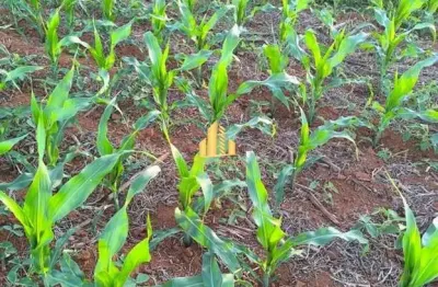 Fazenda à venda na Área Rural de Araxá, Araxá 