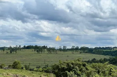 Fazenda imperdível  171 hectares  entre araxá e ibiá   40% de desconto!