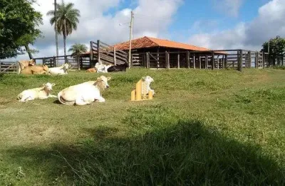 Fazenda à venda na Zona Rural, São Gotardo 