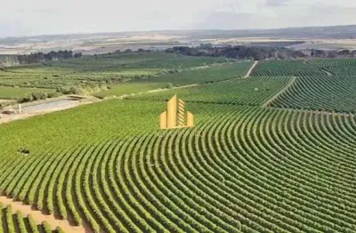 Fazenda à venda na Zona Rural, São Gotardo 