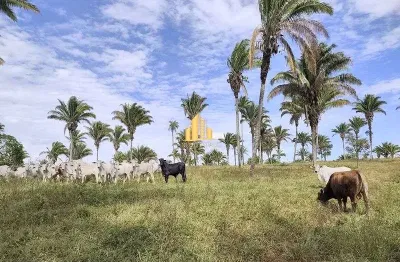 Fazenda à venda no Centro, Perdizes 