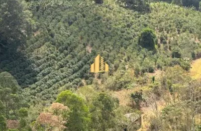 Fazenda 52 hectares com produção média de 600 sacas de café anuais