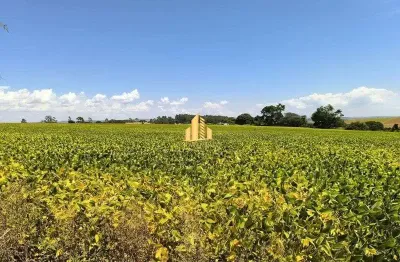Fazenda à venda em araxá / perdizes - 61 hectares - excelente para plantio e pecuária
