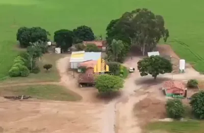 Fazenda à venda em serra do salitre - mg | 249,00 ha com irrigação e estrutura completa