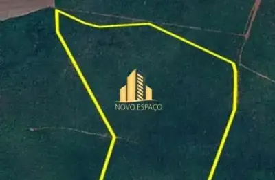 Área ideal para reserva florestal  bioma cerrado paracatu mg