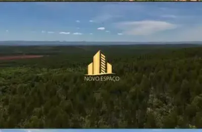 Fazenda de eucalipto, plantio e pecuária &#150; 2.630 hectares em minas gerais