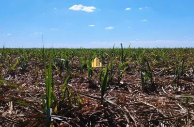 Fazenda à venda em perdizes-mg &#150; 170 hectares &#150; excelente localização