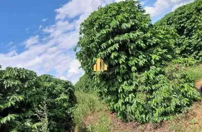 Fazenda à venda na Zona Rural, Campos Altos 