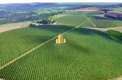 Fazenda à venda na Área Rural de Patos de Minas, Patos de Minas 