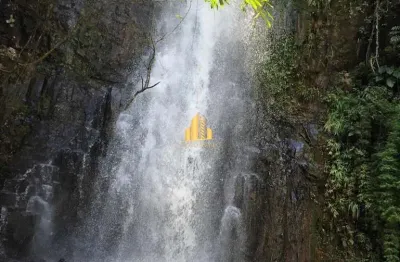 Venda! fazenda de 325 hectares em conquista/sacramento mg. 150ha plantando soja há 30 anos. duas cachoeiras para turismo