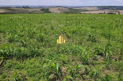 FAZENDA PRODUTIVA À VENDA em IBIÁ - MG: 57 HECTARES, 45 HA DE PLANTIO, 1 KM do Asfalto