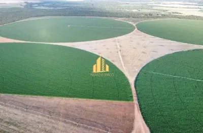 Fazenda paracatu  área total: 956 hectares  sendo 6 pivô centra