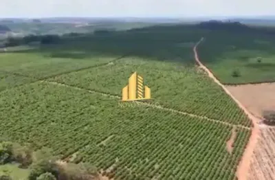 Fazenda à venda na Zona Rural, Monte Belo 
