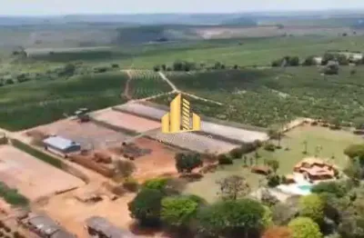 Fazenda de Café e Pecuária em Piumhi (MG) 420 hectares sendo 190 hectares em café