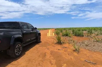 Fazenda de 1.200 hectares - 05 minutos de sacramento - mg 496 alqueres sp