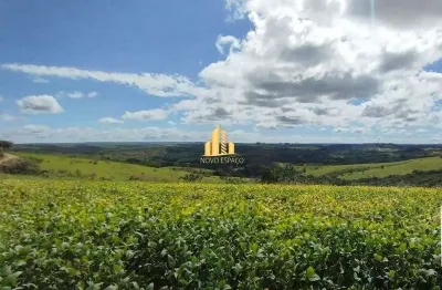 Fazenda 204 hectares  plantio e pecuária!  araxá sentido serra do salitre