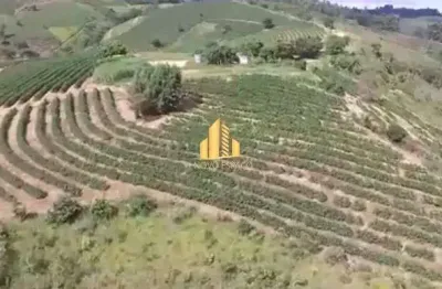Fazenda de 130 hectares com 80 mil pés de café em produção  campos altos (mg)