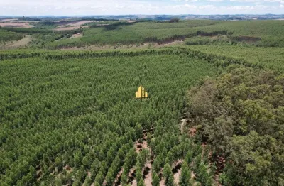 Fazenda à venda na Zona Rural, Ibiá 